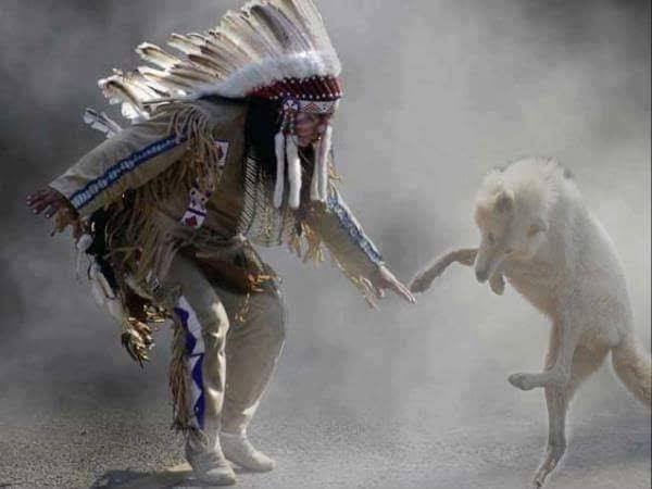 Géobiologie intuitive Moi et le Monde Géobiologie intuitive Moi et le Monde
