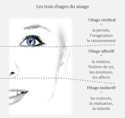 Initiation à la morphopsychologie Initiation à la morphopsychologie